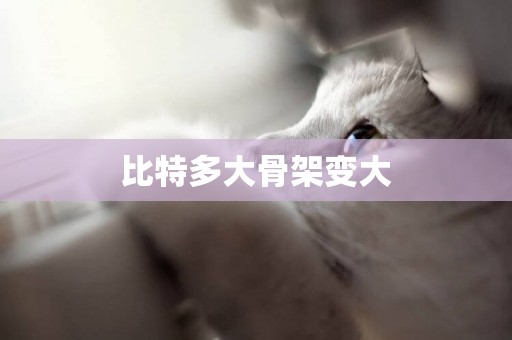 比特多大骨架變大