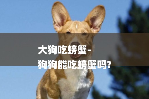 大狗吃螃蟹-
狗狗能吃螃蟹嗎?
