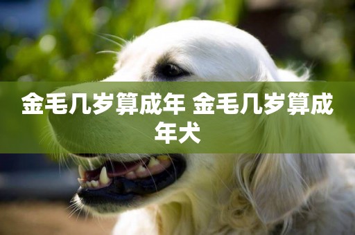 金毛幾歲算成年 金毛幾歲算成年犬