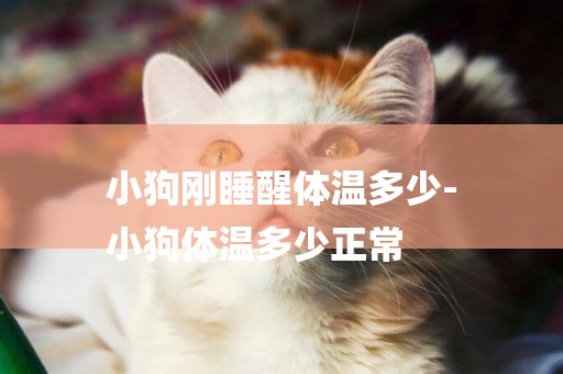 小狗剛睡醒體溫多少-
小狗體溫多少正常