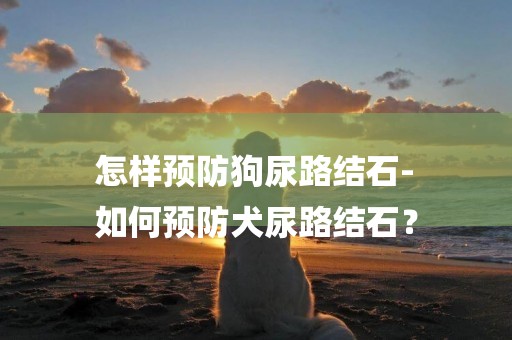 怎樣預防狗尿路結石-
如何預防犬尿路結石？