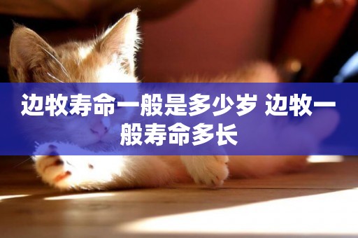 邊牧壽命一般是多少歲 邊牧一般壽命多長