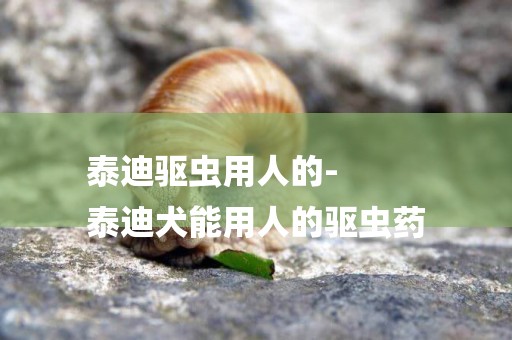 泰迪驅蟲用人的-
泰迪犬能用人的驅蟲藥