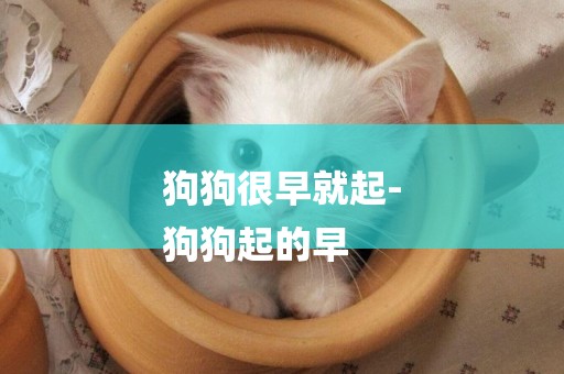 狗狗很早就起-
狗狗起的早