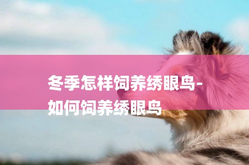 冬季怎樣飼養繡眼鳥-
如何飼養繡眼鳥