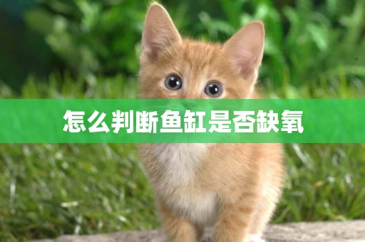 怎么判斷魚缸是否缺氧