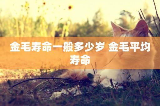 金毛壽命一般多少歲 金毛平均壽命