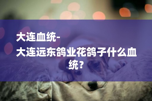 大連血統-
大連遠東鴿業花鴿子什么血統？
