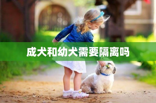 成犬和幼犬需要隔離嗎
