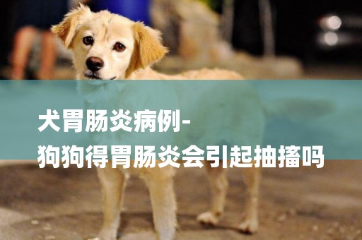 犬胃腸炎病例-
狗狗得胃腸炎會引起抽搐嗎