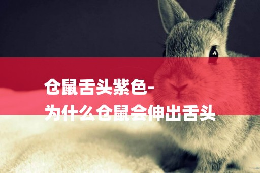 倉鼠舌頭紫色-
為什么倉鼠會伸出舌頭