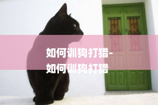 如何訓狗打獵-
如何訓狗打獵