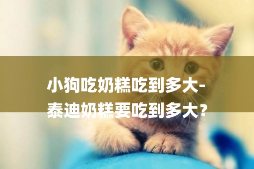 小狗吃奶糕吃到多大-
泰迪奶糕要吃到多大？