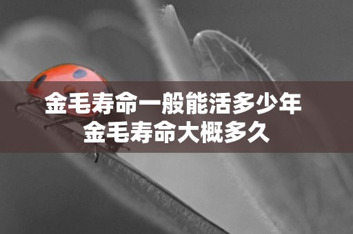 金毛壽命一般能活多少年 金毛壽命大概多久
