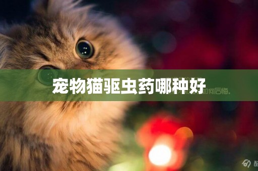 寵物貓驅蟲藥哪種好