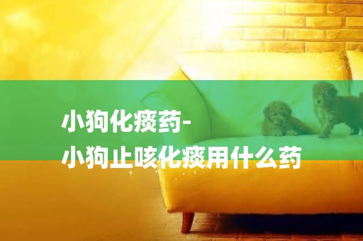 小狗化痰藥-
小狗止咳化痰用什么藥
