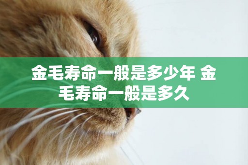金毛壽命一般是多少年 金毛壽命一般是多久
