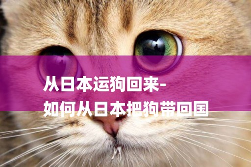 從日本運狗回來-
如何從日本把狗帶回國