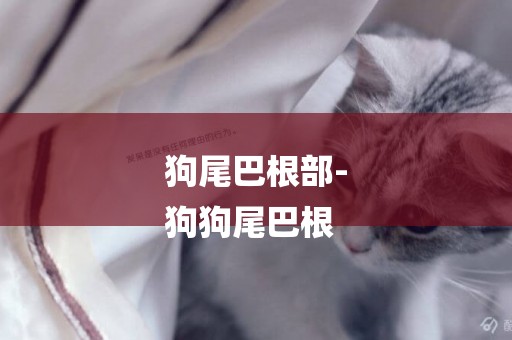 狗尾巴根部-
狗狗尾巴根