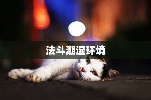 法斗潮濕環境