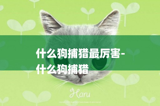 什么狗捕獵最厲害-
什么狗捕獵