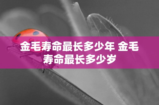 金毛壽命最長多少年 金毛壽命最長多少歲