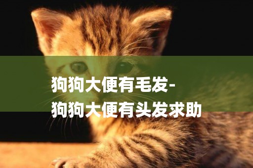 狗狗大便有毛發-
狗狗大便有頭發求助
