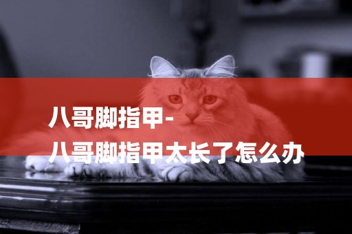 八哥腳指甲-
八哥腳指甲太長了怎么辦