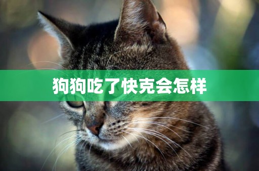 狗狗吃了快克會怎樣