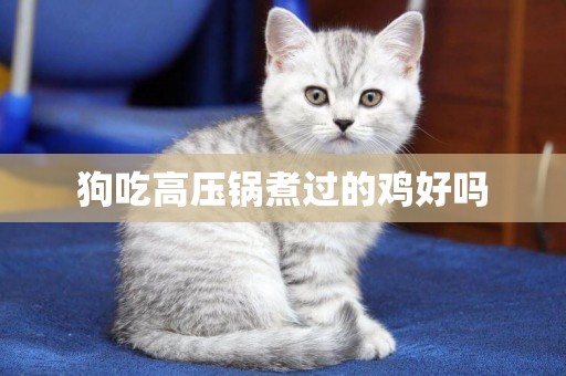 狗吃高壓鍋煮過的雞好嗎