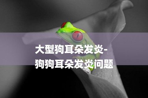 大型狗耳朵發炎-
狗狗耳朵發炎問題
