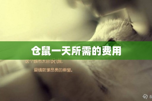 倉鼠一天所需的費用