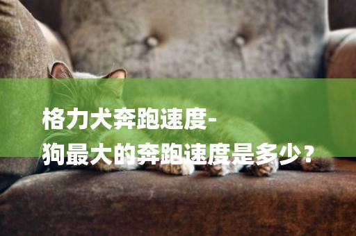 格力犬奔跑速度-
狗最大的奔跑速度是多少？