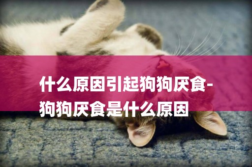 什么原因引起狗狗厭食-
狗狗厭食是什么原因