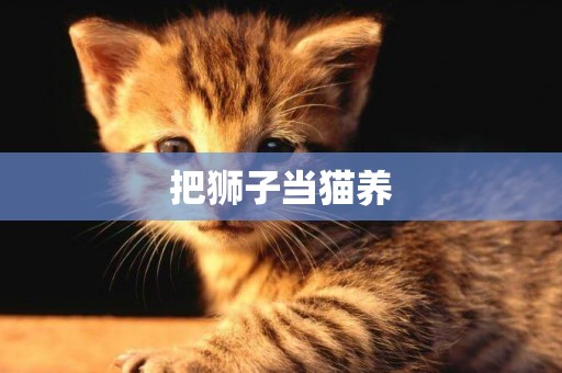 把獅子當貓養