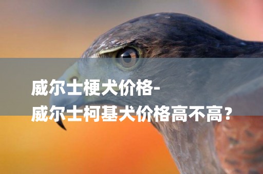 威爾士梗犬價格-
威爾士柯基犬價格高不高？