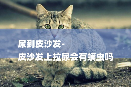 尿到皮沙發-
皮沙發上拉尿會有螨蟲嗎