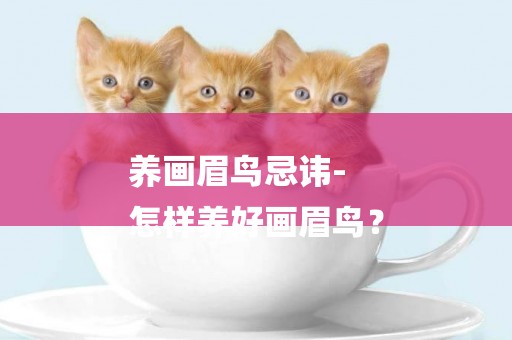 養畫眉鳥忌諱-
怎樣養好畫眉鳥？