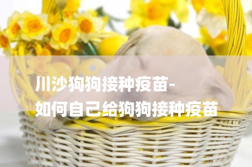 川沙狗狗接種疫苗-
如何自己給狗狗接種疫苗