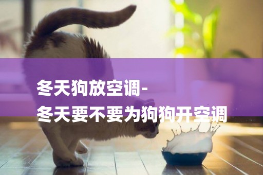 冬天狗放空調-
冬天要不要為狗狗開空調