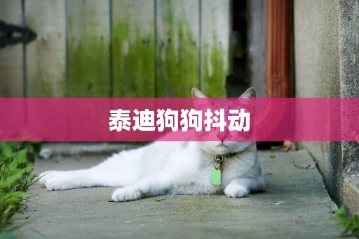 泰迪狗狗抖動