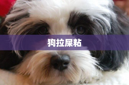 狗拉屎粘