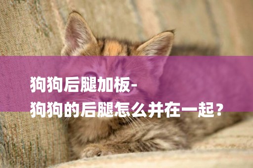 狗狗后腿加板-
狗狗的后腿怎么并在一起？