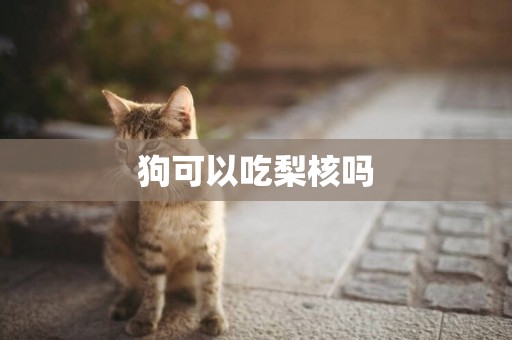 狗可以吃梨核嗎