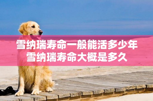 雪納瑞壽命一般能活多少年雪納瑞壽命大概是多久
