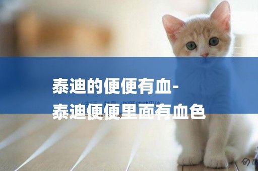 泰迪的便便有血-
泰迪便便里面有血色