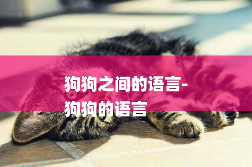 狗狗之間的語言-
狗狗的語言