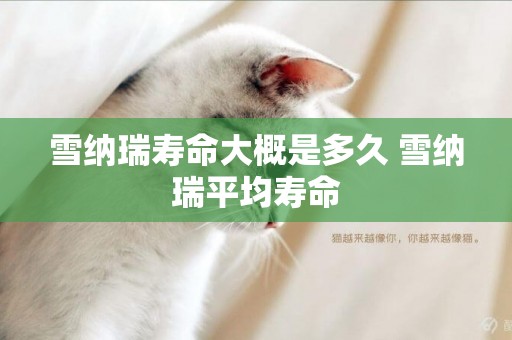 雪納瑞壽命大概是多久 雪納瑞平均壽命