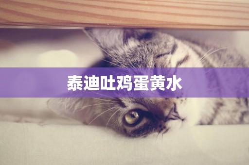 泰迪吐雞蛋黃水