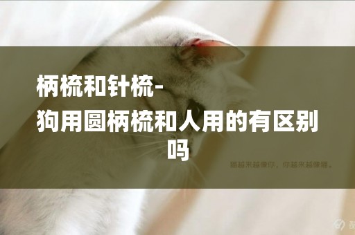 柄梳和針梳-
狗用圓柄梳和人用的有區別嗎